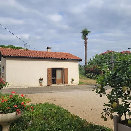 Feriehus Le De Gayssanes *