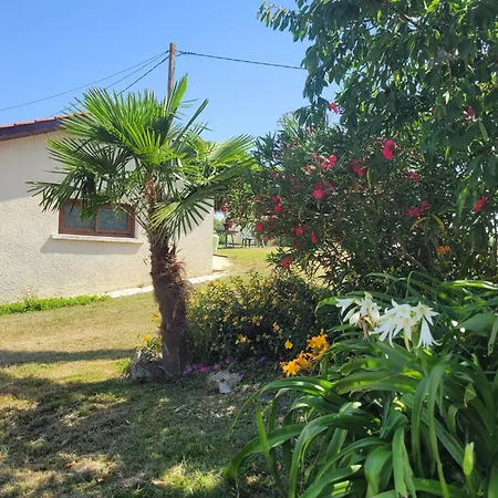 Le De Gayssanes Saint-Arroumex